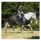 EQUINE-MICROTEC Fliegenausreitdecke MICRO MESH PROTECT                                                                                                                                                                                                         