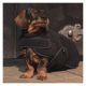 ESKADRON Heritage Hundemantel Teddy