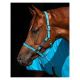 Horseware Amigo Halfter Headcollar                                                                                                                                                                                                                             