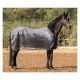 EQUINE-MICROTEC Multifunktionsdecke Flanell Touch                                                                                                                                                                                                              