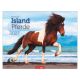 Kalender Islandpferde 2027