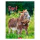 Kalender Esel 2027