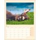 Kalender Esel 2027