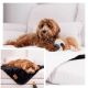 Hunde-Kuscheldecke Darwin                                                                                                                                                                                                                                      