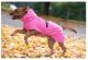 pawberry Hunde-Regenmantel Rainstormer                                                                                                                                                                                                                         