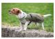 pawberry Hunde-Wintermantel Random                                                                                                                                                                                                                             