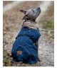 pawberry Hunde-Wintermantel Random                                                                                                                                                                                                                             
