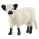 Schleich Farm World Galloway Kuh                                                                                                                                                                                                                               
