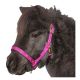 Fohlen- und Pony-Nylonhalfter                                                                                                                                                                                                                                  