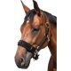 Horse-friends Longier- und Stallhalfter                                                                                                                                                                                                                        