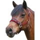 Horse-friends Halfter Take it Isi                                                                                                                                                                                                                              