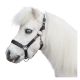 Halfter Piccolino II, Horse-friends                                                                                                                                                                                                                            