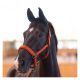 Cheval de Luxe Halfter Lyon                                                                                                                                                                                                                                    