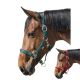 Horse-friends Halfter Basic                                                                                                                                                                                                                                    