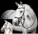 HORSEWARE Micklem 2 Competion Bridle                                                                                                                                                                                                                           
