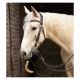 Passion 4Q Western-Zaum Anatomisch