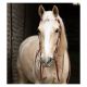 Passion 4Q Sporenriemen Robust