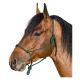 BROCKAMP Knotenhalfter Horse-Man-Halfter