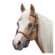 L-pro West Wanderreittrense mit Steinchen