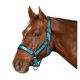 Passion 4Q Nylon Halfter                                                                                                                                                                                                                                       