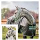 HORSEWARE Halfter Fieldsafe                                                                                                                                                                                                                                    