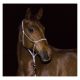 EQUINE-MICROTEC Knotenhalfter mit eingearbeitetem Reflextionsgard