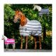 HORSEWARE Abschwitzdecke Newmarket Fleece Cooler                                                                                                                                                                                                               
