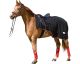 Happy Moving Ausreitdecke, Gr. Pony