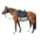 Horse-friends Anti-Fliegen Bauchlatz