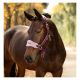 LeMieux Halfter Vouge Headcollar & Leadrope