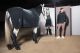 ESKADRON Dynamic Abschwitzdecke Fleece                                                                                                                                                                                                                         