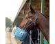 IMPEX - HORSECARE Inhaliergerät für Pferde Modell Horsecare II-T                                                                                                                                                                                               