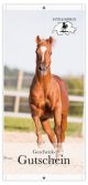 Geschenkgutschein                                                                                                                                                                                                                                              