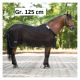 EQUINE MICROTEC Fliegendecke Micro Mesh Protect, Gr. 125 cm                                                                                                                                                                                                    