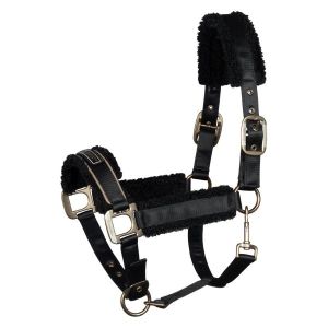 Cavallo Halfter CAVALLIDI